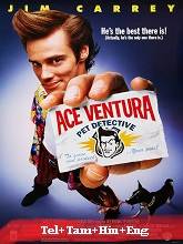 Ace Ventura: Pet Detective (1994) BRRip Original [Telugu + Tamil +  Hindi + Eng] Dubbed Full Movie Watch Online Free