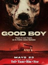 Good Boy (2022) BRRip Original [Telugu + Tamil + Hindi + Nor] Dubbed Full Movie Watch Online Free