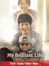 My Brilliant Life (2014) HDRip Original [Telugu + Tamil + Hindi + Kor] Dubbed Full Movie Watch Online Free